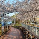 좌수영로4 이미지