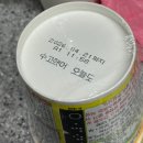 조아국제결혼 | 잔뜩 놀고 잔뜩 먹습니다