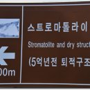 스트로마톨라이트 이미지