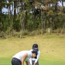 일신골프연습장 이미지