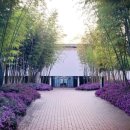 한국대나무박물관 이미지