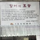고흥장어마을 네이버블로그