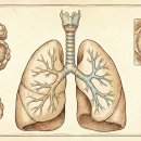 청유한의원 이미지