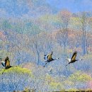 씨유 포천태봉제일점 | [ 철원 이야기 1 ] 남북의 각축장이었던 철원