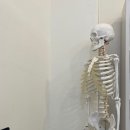 씨유 수원운동장점 | 수원 망포동 슬링 재활 운동, 32년 경력 원장님께 제대로 배우고 왔어요!! (재활전문PT)