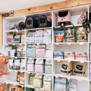 해바라기 애견 이미지