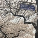 호로록 제주의 봄