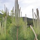 한 묶음의 세상구경 이미지