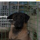 계양산목장 이미지