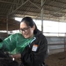 성재목장 이미지