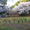 삼성혈 문화의 거리 이미지