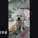 몽글댕글 네이버블로그