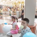 제주기사 티스토리