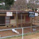 명지초등학교 이미지