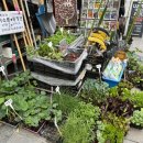 개풍한의원 이미지