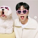 일요일은 일하는 날~ 이미지