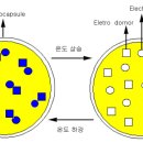 시온안료란? 이미지