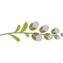 용신72 이미지