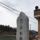 오도리 경로당 Daum카페
