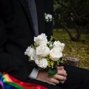 배종진 행정사 사무소 이미지