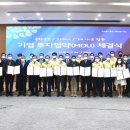 엘앤피에스