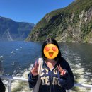 밀포드모텔 | Lakeside호텔,퍼그베이커리,루지,스카이라인,퍼그젤라또,한식,밀포드사운드투어,테카포호수 다 뿌시기🙌