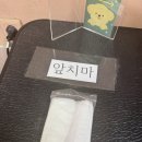 그루밍데이 | 송파애견미용 원데이클래스 벤그루밍 위생미용 원데이클래스 후기