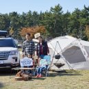 ㈜태영모터스 이미지