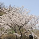 다온앤틱카페 이미지