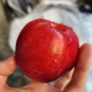 동신할인마트 이미지