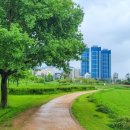 낙동강관리본부 맥도생태공원 2 이미지