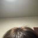난희네족발 | 한 치 앞도 모르는 내 인생과 소공동 롯데 호텔 클럽라운지 더블룸 후기 롯데호텔 본점