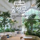 요거트아이스크림의정석과일의숲여수 | 강원도 여름 휴가지 태백 가볼만한곳 시원한 통창 뷰 베이커리 카페 숲향긋 내돈내산