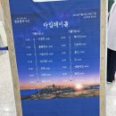일산킨텍스 청춘썸머나잇 2024 후기 (양일권)