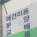 깡촌강쥐 이미지