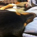 율정초 | 와! 와와쌤이랑 공부하면 쑥쑥 자라요!