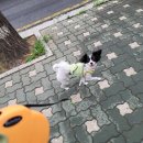 빈베이커리 이미지