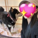 코스포덤 이미지