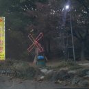 아라짬뽕 이미지