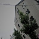 천전119안전센터 이미지