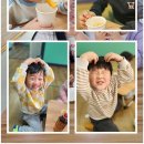 신화정 태권도 이미지