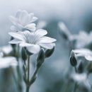 미래장묘 - 곡성군 청계동로 457 | 미래장묘