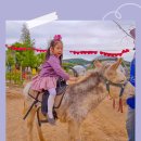 펠리시떼 이미지