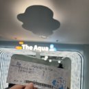 한류월드로408번길 | 아쿠아플라넷 일산 아쿠아리움 입장료 및 주차 정보, 관람 후기