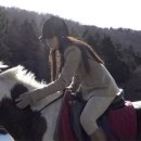 크리스탈 이미지