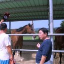 송암목장 이미지