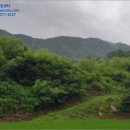 장락천 네이버블로그