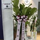 정진검도관 이미지