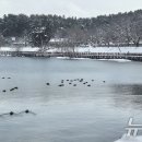 은파호수공원 9-1 이미지