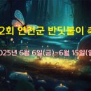 백의게스트하우스 | 경기 연천 2025 제2회 연천군 반딧불이 축제(6월 6일 ~ 6월 15일)